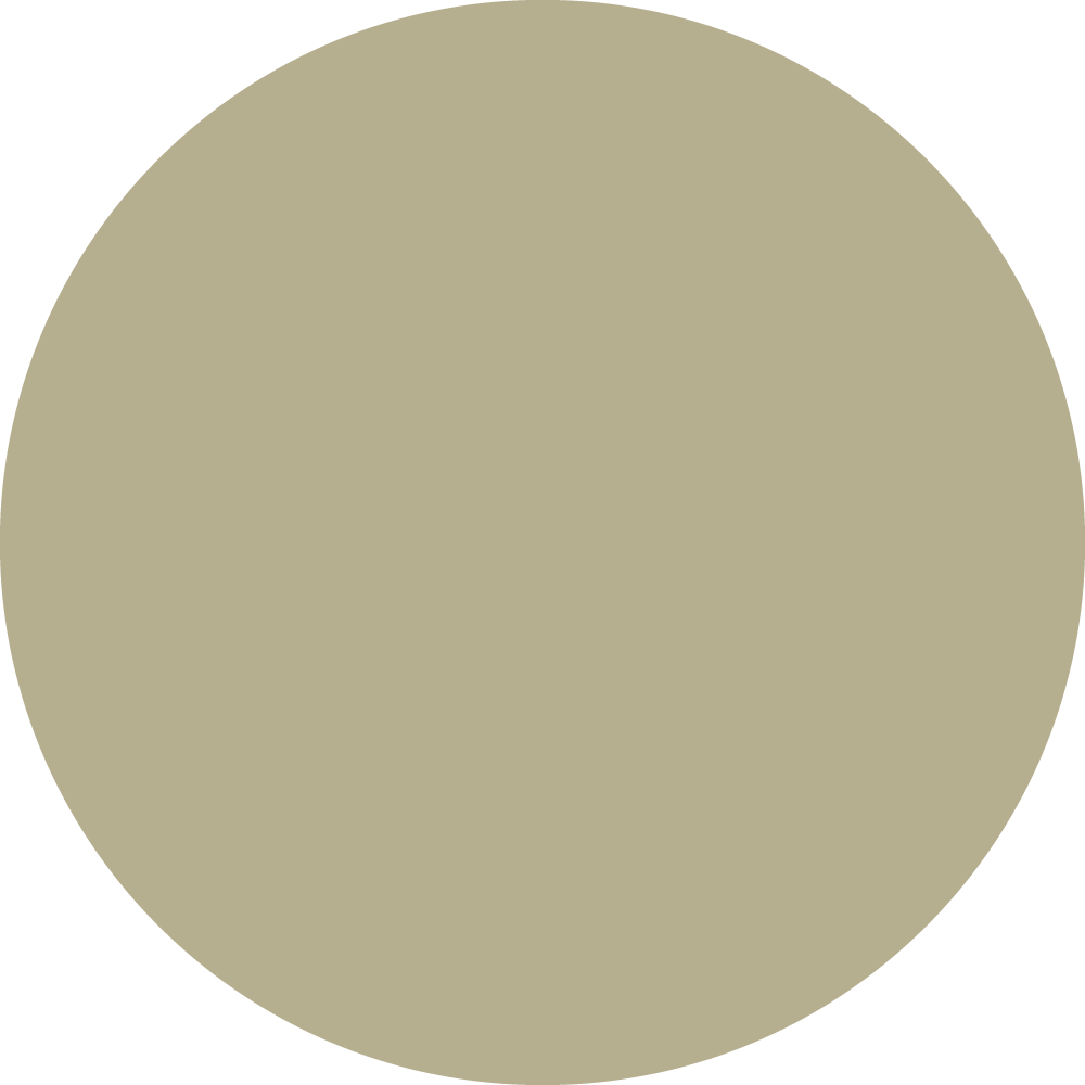 Parchment