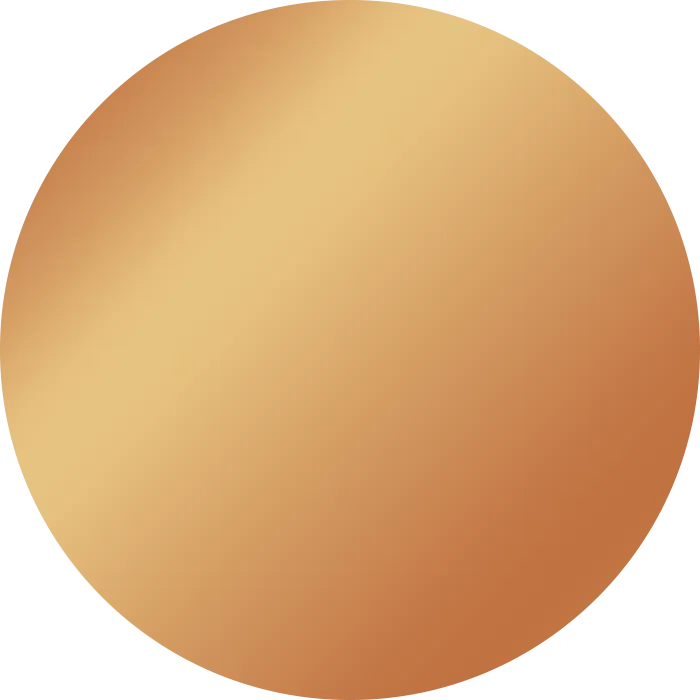 Shiny Copper Penny