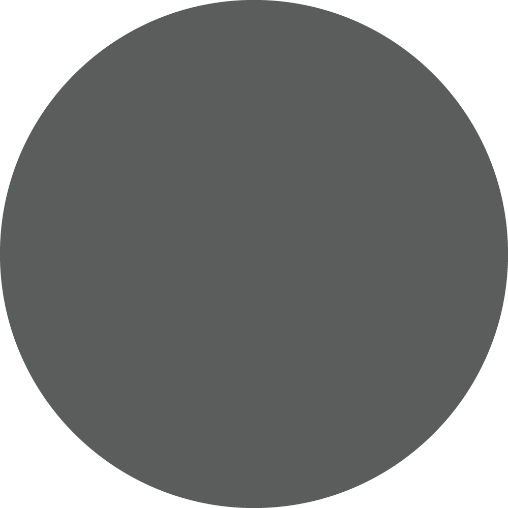 Slate Gray